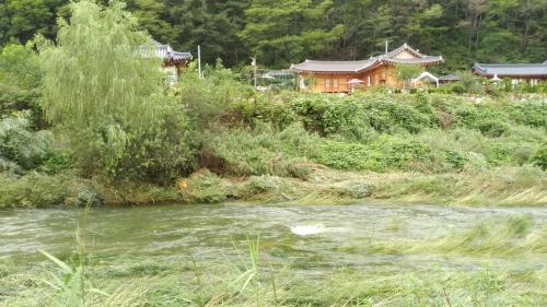 Un paisaje natural cerca de la casa de huéspedes