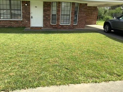 a house with a lawn in front of a house at Cheerful 2-bedroom 2 bath entire home West Rome in Rome