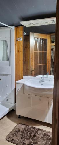 a bathroom with a white sink and a mirror at terrebio bungalow in Visnadello