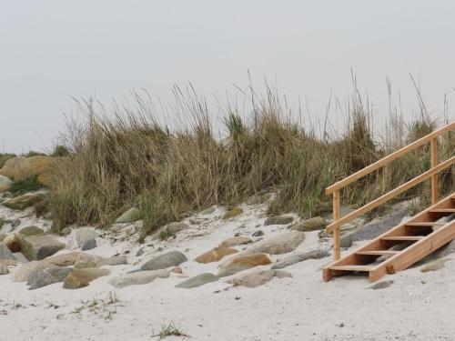 a wooden staircase on a beach with rocks and grass at Wasserhaus Yellow submarine in Olpenitz