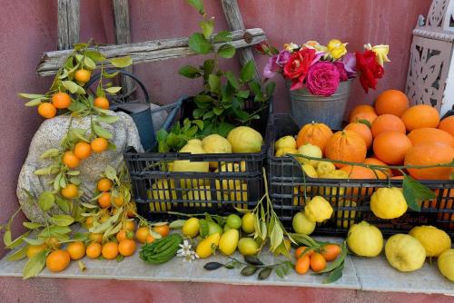 Mad i lejligheden eller i nærheden