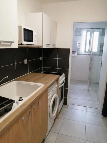 une cuisine avec un évier et une machine à laver dans l'établissement Studio au coeur de la Vendée, à Thorigny