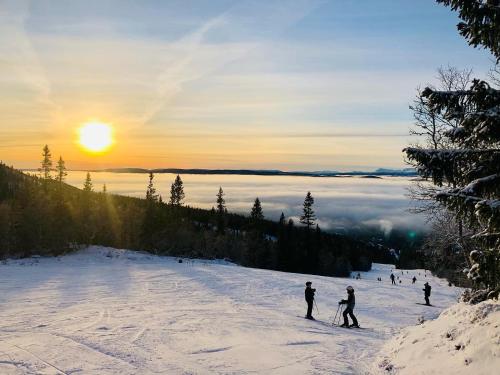 a group of people skiing down a snow covered slope at Björnrike Fjällstuga in Vemdalen