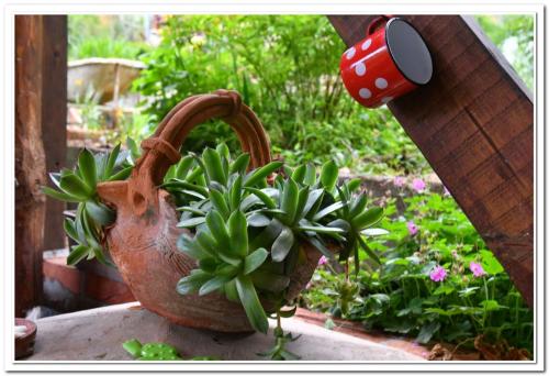 a potted plant in a pot next to a garden at Golemi kamik Pirot Vlasi 2 in Pirot