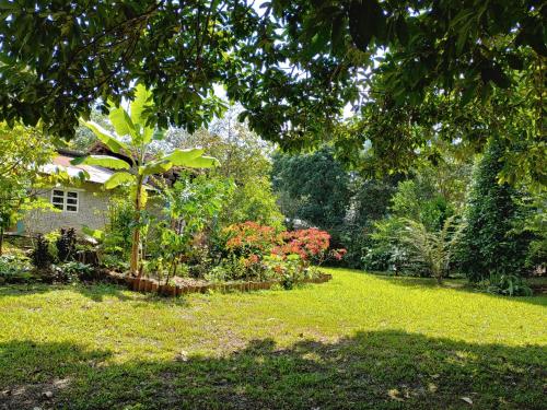 a garden with a house and trees and plants at CAMPOWASI Hostel in Morales