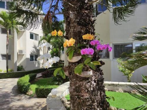 a tree with a bunch of colorful flowers on it at Tropical Casa Laguna in Cabarete