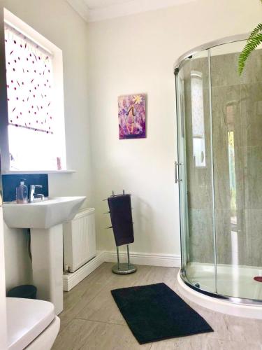 a bathroom with a shower and a sink at Swallow's Rest Garden Apartment in Ashbourne