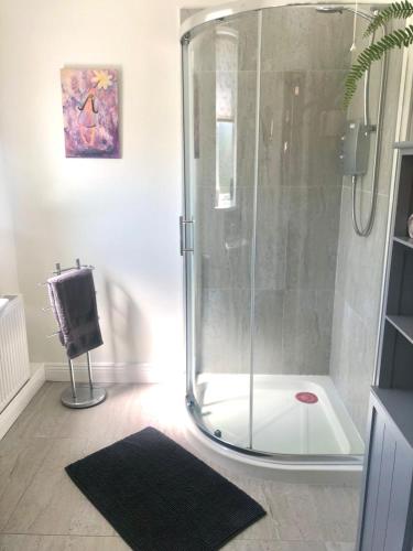a shower with a glass door in a bathroom at Swallow's Rest Garden Apartment in Ashbourne