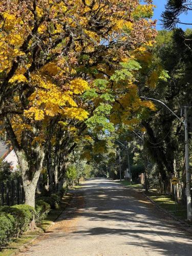 a tree lined road with autumn leaves on it at Vila Suzana Parque Hotel in Canela