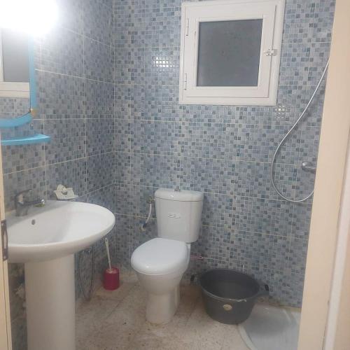 a bathroom with a toilet and a sink and a mirror at country side House in Irbid