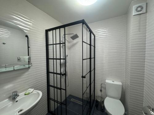 a bathroom with a shower and a toilet and a sink at Casa Cristal Sulina in Sulina