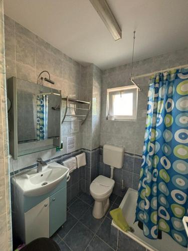 a bathroom with a sink and a toilet and a shower curtain at Pensiunea Silvia in Baile Felix