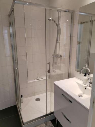 une salle de bain avec douche et lavabo dans l'établissement appartement centre ville, à Souillac