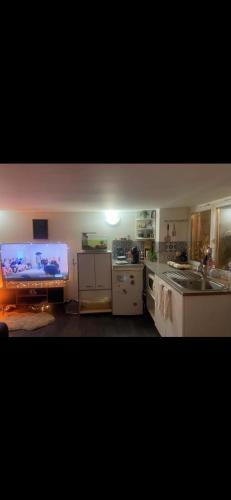 Il comprend une cuisine avec une grande télévision à écran plat. dans l'établissement Hamdi, à Ivry-sur-Seine