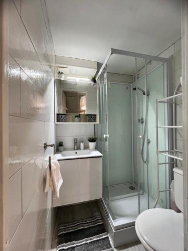 une salle de bain avec une douche, un lavabo et des toilettes dans l'établissement Villa cosy bleue, à Gruissan