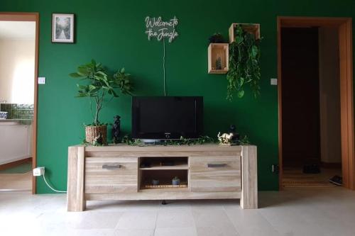 TV a/nebo společenská místnost v ubytování Appartement thème jungle