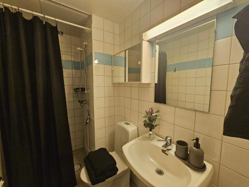 Koupelna v ubytování Central Room with Private Entrance and Ensuite Bathroom