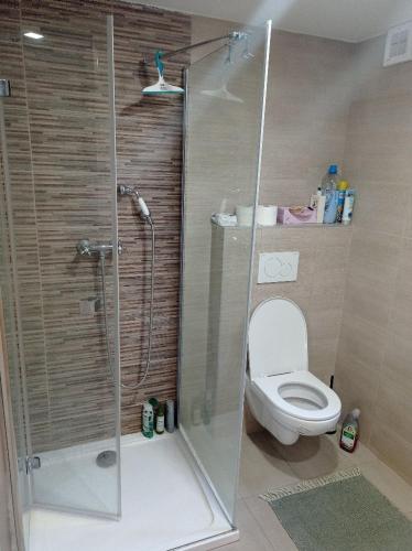 a bathroom with a shower and a toilet at Chata na Lhotských pasekách in Lhota u Vsetína
