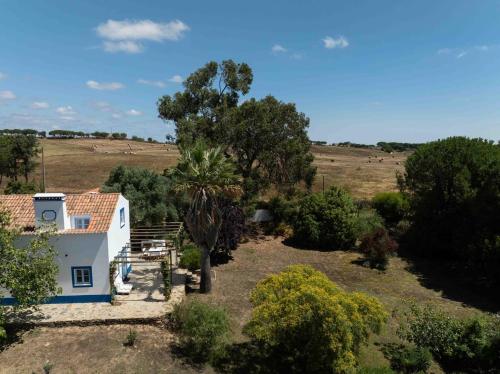 a small white house with a palm tree in a field at Fonte Santa beautiful villa in Santiago do Cacém