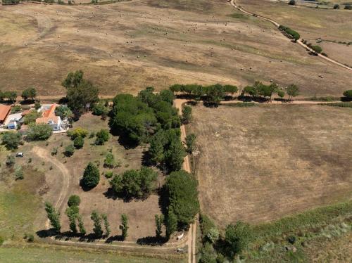 an aerial view of a farm with trees in a field at Fonte Santa beautiful villa in Santiago do Cacém