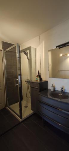 une salle de bain avec douche et lavabo dans l'établissement Chez LINAT - Paisible appartement avec jardin et vue mer, à Vallauris