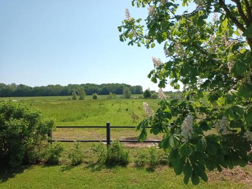 a field with a fence in the middle of a field at Nilseni in Jelgava