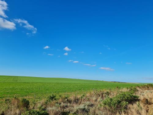 a green field with a blue sky and clouds at Sir Napier Boutique Guest House in Napier