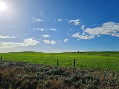 a green field with a fence in the foreground at Sir Napier Boutique Guest House in Napier