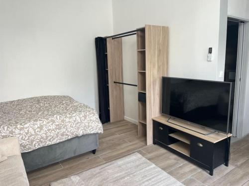 TV a/nebo společenská místnost v ubytování Maisonnette avec terrasse avec spa privatif