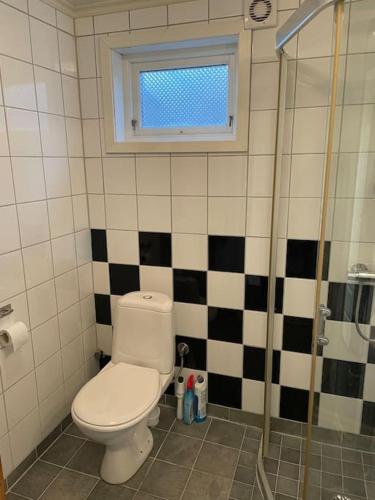 a bathroom with a toilet and a window at Villa Valberg in Sarpsborg