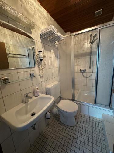 a bathroom with a toilet and a sink and a shower at Hotel Zur Mühle in Iserlohn