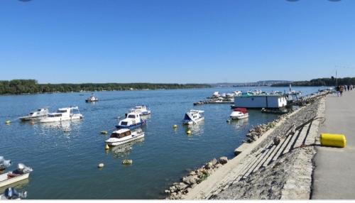 a group of boats are docked in a harbor at Magistar in Zemun