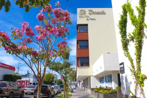 a street with pink flowers in front of a building at El Dorado in Los Mochis