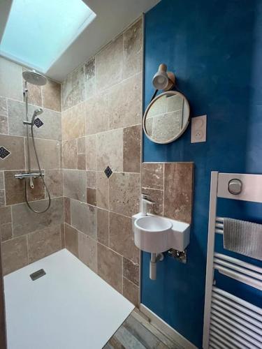 une salle de bain avec un lavabo et une douche avec un miroir dans l'établissement Appartement Caraïbes entre Disney et Paris, à Lagny-sur-Marne