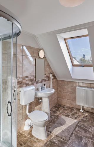 a bathroom with a toilet and a sink and a skylight at Silver Cottage in Máriapócs