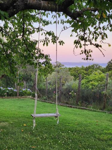 Κήπος έξω από το Casale Sant'Egidio - Lago di Bolsena