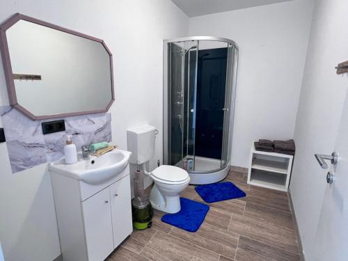 a bathroom with a toilet and a sink and a mirror at TOP 2 Geräumiges 2 Zimmer Apartment für bis zu 6 Personen in Enns