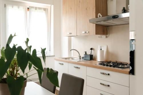a kitchen with white cabinets and a table with a plant at Lake View Levico in Levico Terme