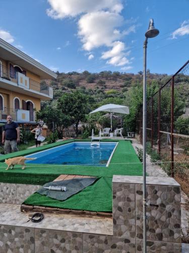 a dog laying next to a swimming pool at Villa Mary Sol in Savoca 