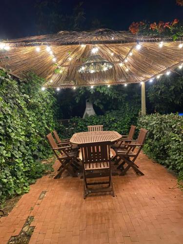 a table and chairs under an umbrella with lights at VillaVittorio in Tarquinia