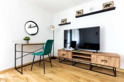 sala de estar con TV y silla verde en The Bear House, en Buşteni