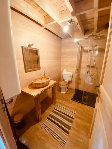 une salle de bain avec un lavabo, des toilettes et une douche dans l'établissement Escapade dans un Ranch, à Le Sourn
