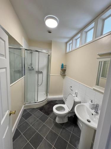 a bathroom with a shower and a toilet and a sink at Shine Lodge in Kent