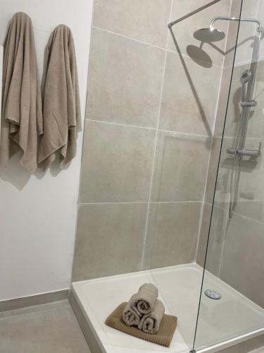 une douche avec une cabine de douche en verre et des serviettes dans l'établissement Appartement Cosy Centre-Ville avec Terrasse, à Saint-Didier