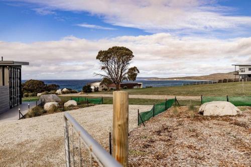 a fence with sheep in a field next to the water at Bay of Fires Tiny Home in Binalong Bay