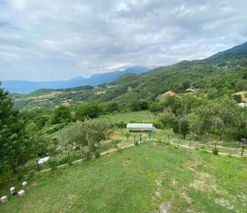 Φωτογραφία από το άλμπουμ του Guest House Egzoni σε Hoxhaj