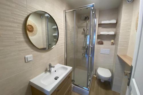 a bathroom with a shower and a sink and a toilet at Morlaix Hyper Centre Charme in Morlaix
