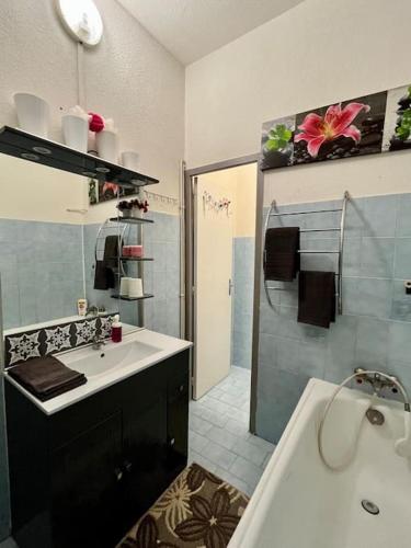 une salle de bain avec un lavabo, une baignoire et une douche dans l'établissement Magnifique T3 au Centre Ville - Immeuble particulier, à Montpellier