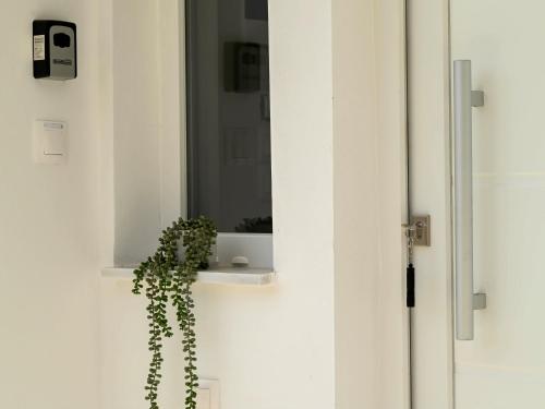 Koupelna v ubytování Zoé Suites