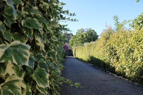 Billede fra billedgalleriet på La Villa des Moulins i Calvisson